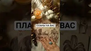 ПЛАНЫ НА ВАС 