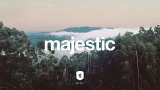 Phoria - Evolve