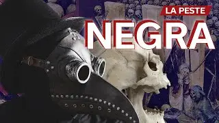 Toda la verdad sobre la peste negra o peste bubónica