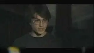 Gay Harry Potter