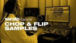How to sample in any DAW like a pro