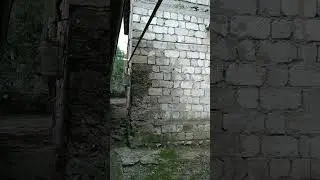 12 сентября 2024 г.