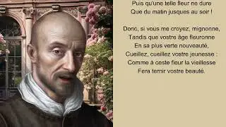 Pierre de Ronsard - Mignonne, allons voir si la rose