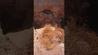 DRILLING IN THE WILD WEST - WTB