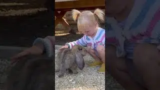 #василиска#в#пушистом#раю