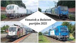 VECTRONOK ÉS TAURUSOK A BALATONON! Vonatok a Balaton partján 2025 nyarán.