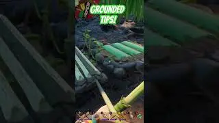 Grounded | Pallets are a must! 