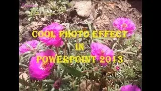 COOL PHOTO EFFECT in PowerPoint 2013