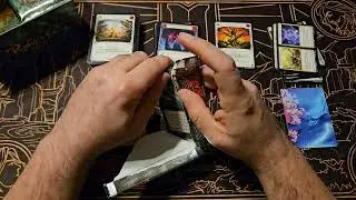 FaB - Rosetta - Box 1 of a new case with my first extended art from the set