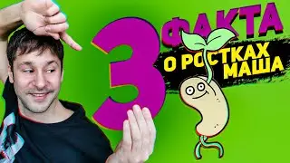Sprouted mung beans for intestinal health / How to sprout mung beans at home