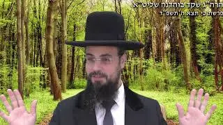 מו