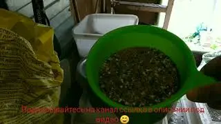 Минералка для голубей, лучший вариант в период линьки!