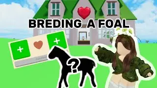 I'm breeding my horses in horse Valley