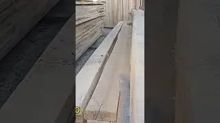 YOGOCH BOZOR NARXLARI