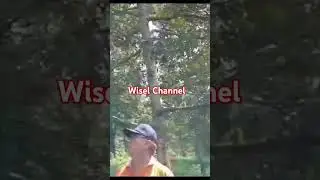 BUAHNYA BANYAK BANGET⁉️KKEBUN DURIAN #shortvideo