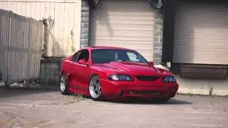 Mustang Week - Brandon's 95 Cobra