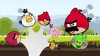 Angry Birds Finger Family Song