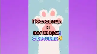 Пословицы и поговорки о котиках #котики #кот