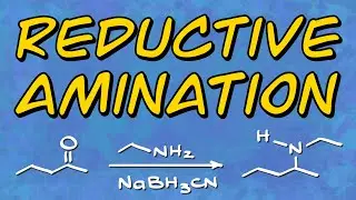 Reductive Amination | Synthesis of Amines