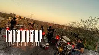 Igor Gnomo Group | 