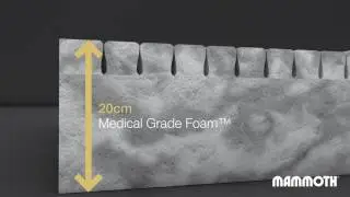 Mammoth Performance 220 Regular Mattress