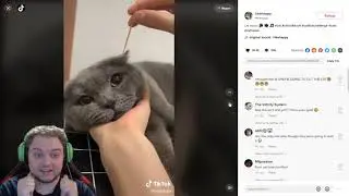 Tiktok Blind Reacts
