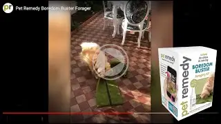 Pet Remedy Boredom Buster Forager