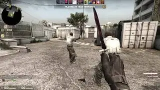 CSGO: Panic scratch TIGER-CLAW!