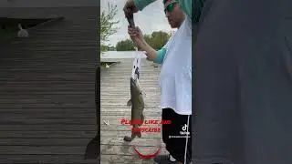 ⚠️catfish results⚠️ 