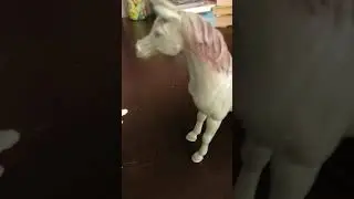 Жизнь волков 2🐺 2 часть
