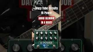 Crazy Tube Circuits Hi-Power deliver classic Hiwatt tones with the massive Power Boost on board!