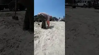 Removing a Pull Pal from the sand isnt an easy task. #pullpal #offroadrecovery #offroadconsulting