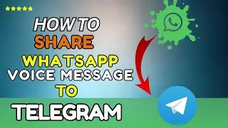 How To Transfer WhatsApp Voice Messages To Telegram (2025)-Easy guide