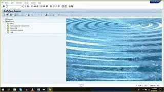 SAP Security - session 12
