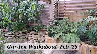 No. 119 - Garden Walkabout Feb '26