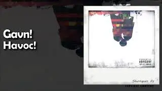 Gavn! - Havoc! (Prod. kimj)