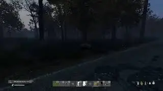 DayZ