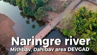 Naringre river at Mithbav & Dahibav in Devgad | Dahibav | Mithbav | Devgad |  #devgad #konkan #river