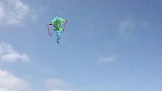 Sea Turtle Fly Hi Kite | Easy Flying Kite for Kids | KiteGarden.com