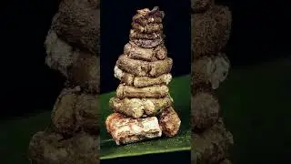 Bir ahşap ev ustası: Torbalı Güve Tırtılı