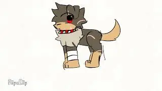 encontre a perro :D @Sofiaperrosalchichamxsaniccute