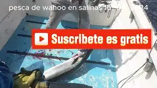 pesca de wahoo en salinas 16-05-2024