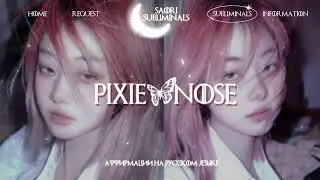⁺‧₊☽🌷𝐏𝐈𝐗𝐈𝐄 𝐍𝐎𝐒𝐄: Милый миниатюрный носик | Саблиминал 🩰☾₊‧⁺