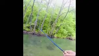 Smart fly + good cast = nice fish