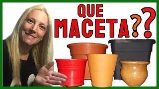 Que MACETA ELEGIR para las PLANTAS │ TIPOS de MACETAS para PLANTAS.