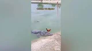 Супер ....