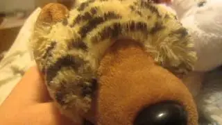 my webkinz story