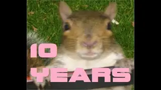 So yeah 10 Years on Youtube