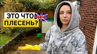 Жизнь в Англии! Как бороться с ЧЕРНОТОЙ? Уборка двора.