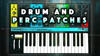 Moog Grandmother is a Drum Synth. Analog Patches Sound Demo